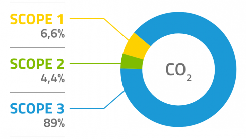 RESULTS IN PERCENTAGE OF THE ANALYSIS CARRIED OUT